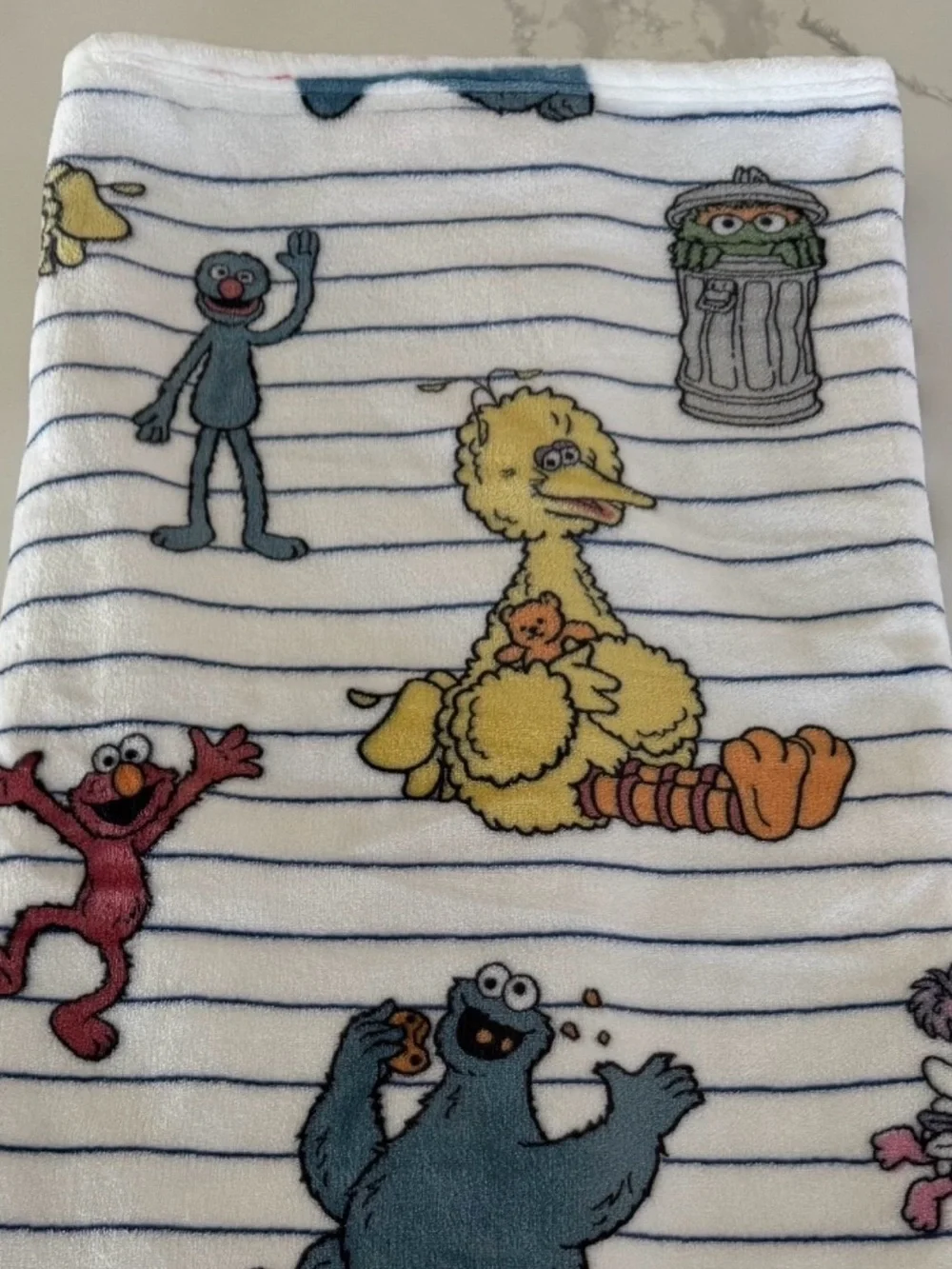 Sesame Street Soft Plush Character Blanket